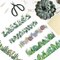 Borders for Bulletin Board, 118 ft Green Eucalyptus Bulletin Board Boarders